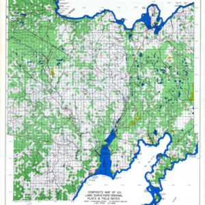 Michigan Historical pine forest Map